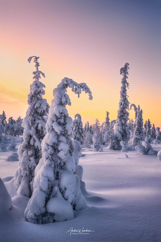 Gefrostete Bäume | Andre Wandrei - Nature Artworx - Realisiert mit Pictrs.com