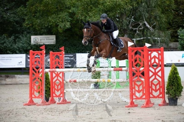 2B4A3480 | pixelfaenger - Realisiert mit Pictrs.com