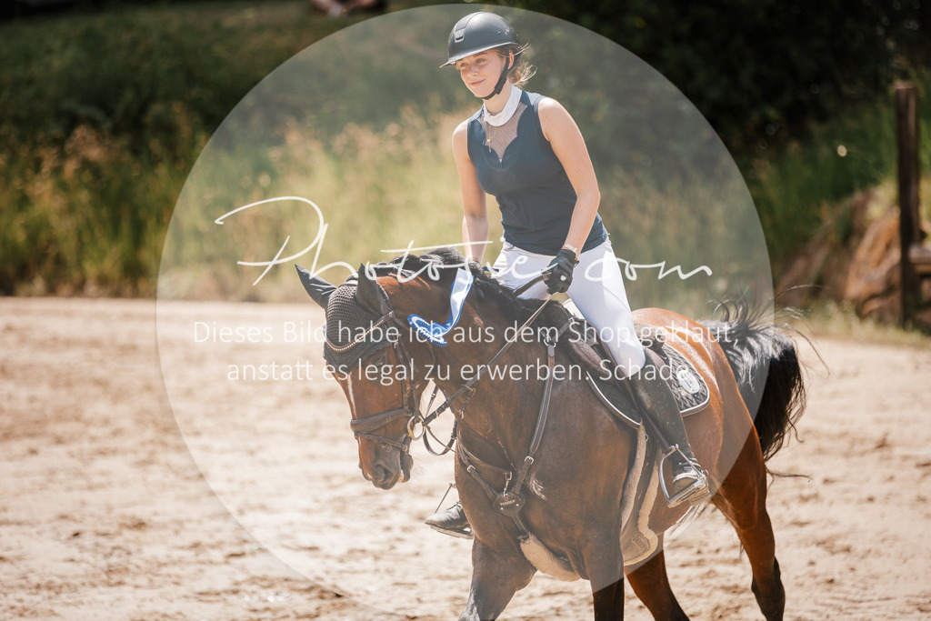 3I6A8180 | Stimmungsvolle Portraits und Reitsportfotografie im Ruhrgebiet und im Münsterland.

Pferdefotografie, Hundefotografie, Tierfotografie, Reportagen, Portraits von Tier und Mensch, Turnierfotografie in Bochum, Recklinghausen, Marl, Haltern am See, Dülmen.. - Realisiert mit Pictrs.com