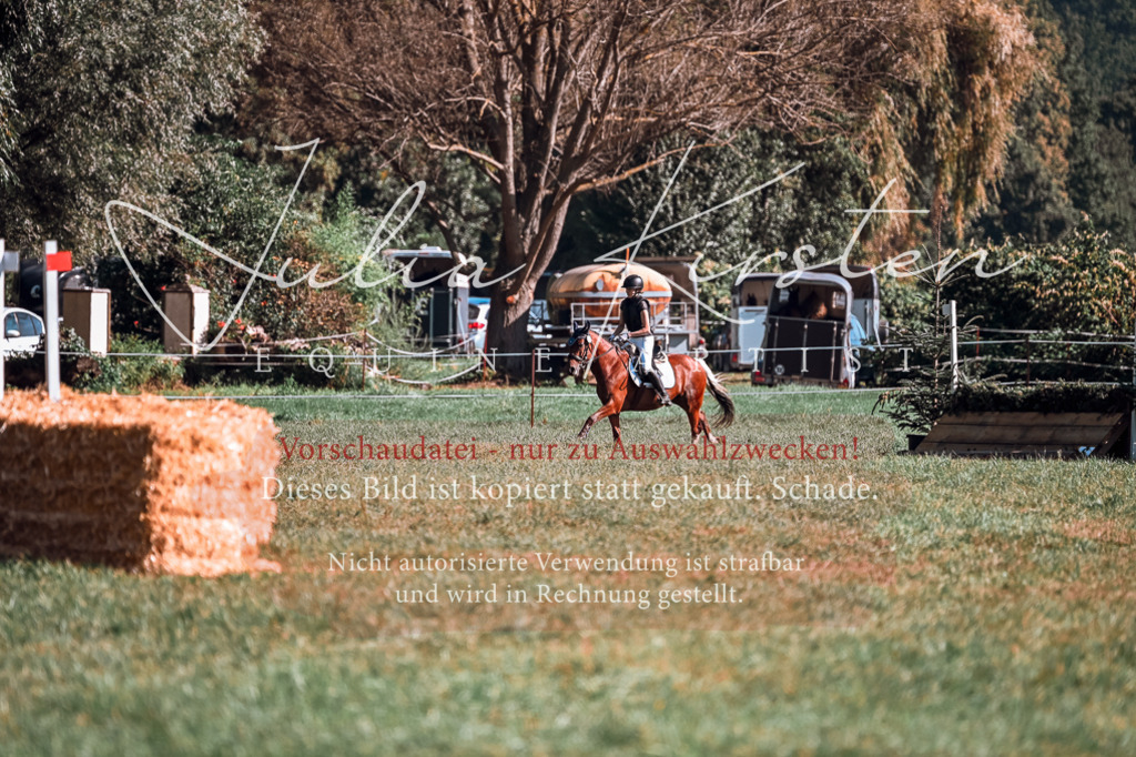 DSC_0937 | Pferde- und Turnierfotografie in Westsachsen. Pferdeportraits, Auftragszeichnungen und intuitive Kunst.