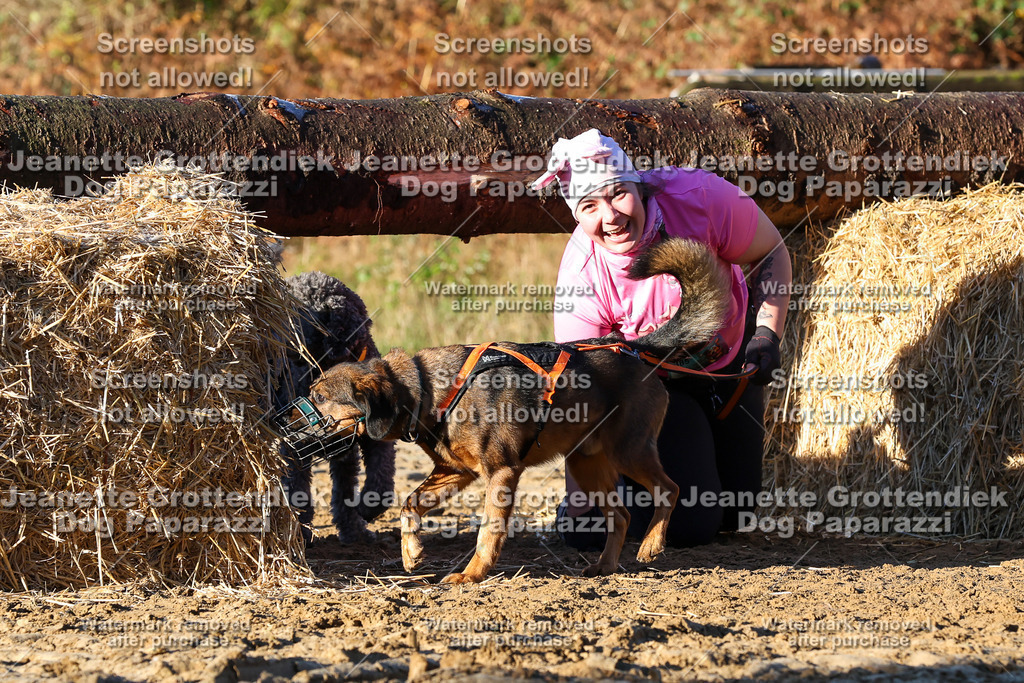 Dog Paparazzi - Strongdog 10-25-1057 | Dog Paparazzi Jeanette Grottendiek Fotografie & Videografie - Realisiert mit Pictrs.com