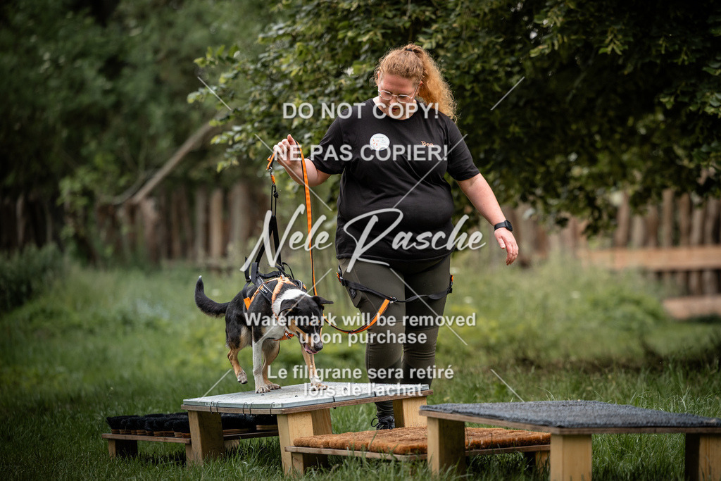 nelerasche_So-funtrail_253 | nelerasche