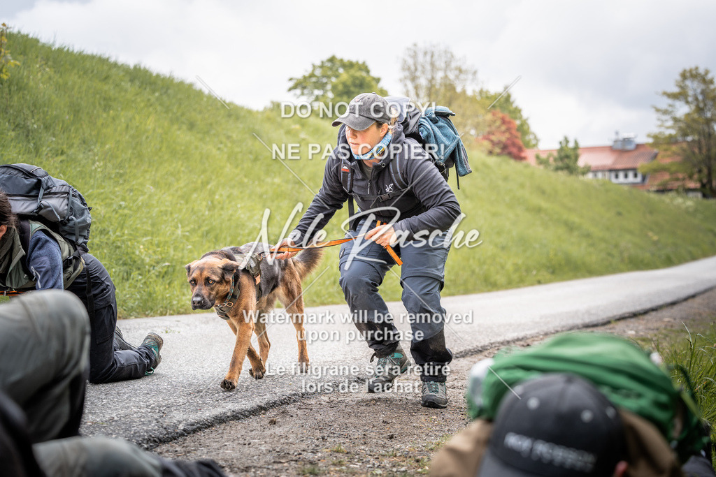 nelerasche_SoZieleinlauf_197 | nelerasche