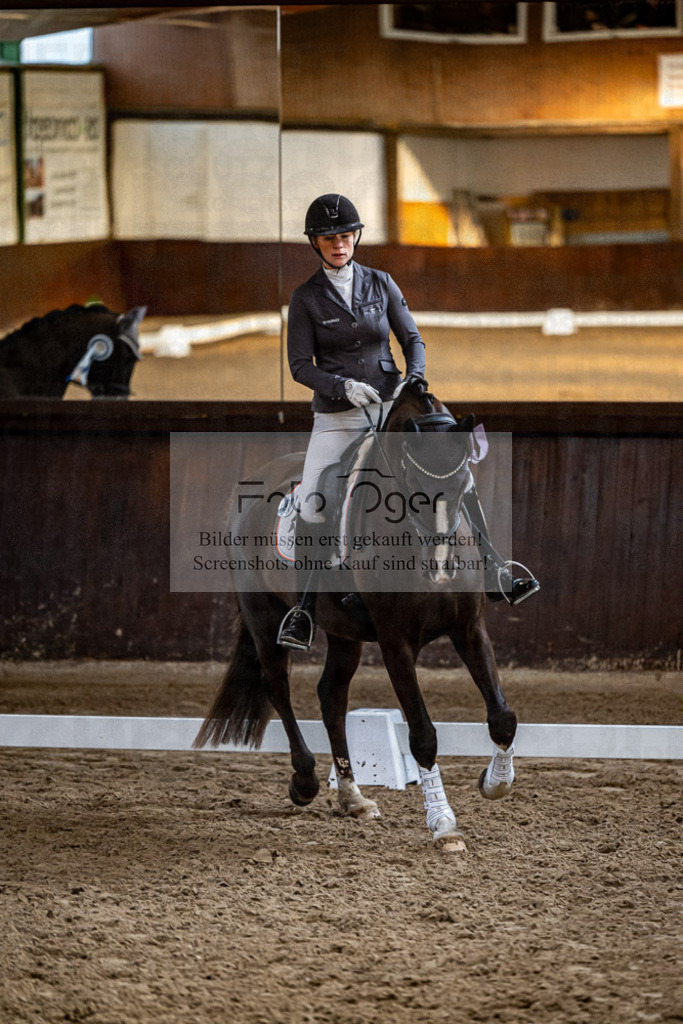 20240308-DOS_4663 | Entdecke hochwertige Reitturnierfotos von Foto Oger. Professionell, emotional und authentisch – jetzt Lieblingsmomente im Shop bestellen.Deutschlandweite Turnierfotografie. - Realisiert mit Pictrs.com
