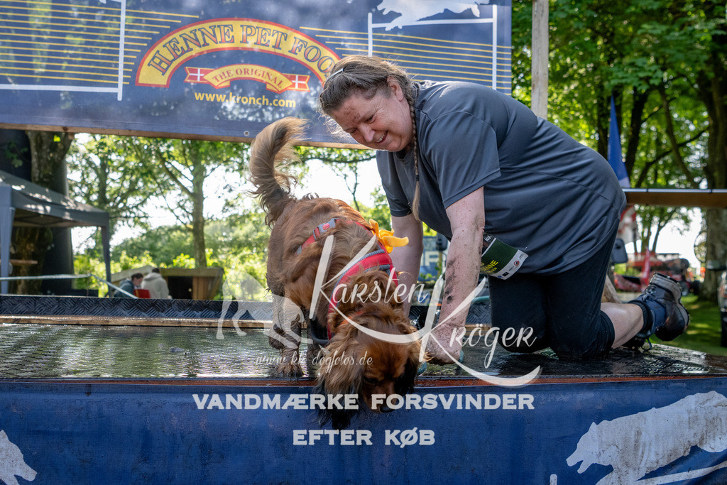 1523_ZZ91144 | kk-dogfotos