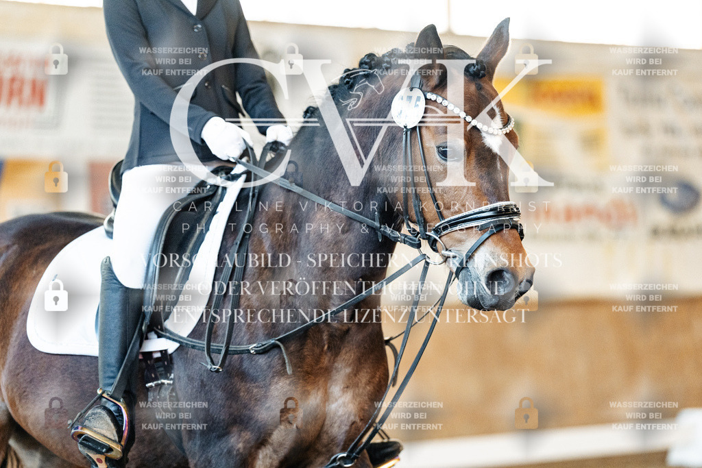CK906653 | Turnierfotografie Pferdefotografie Trier Rheinland-Pfalz Pferdesport Reitsport Tierfotografie Sportfotografie Pferdevideo Pferdevideografie Equestrianvideography equestrianphotography  - Realisiert mit Pictrs.com