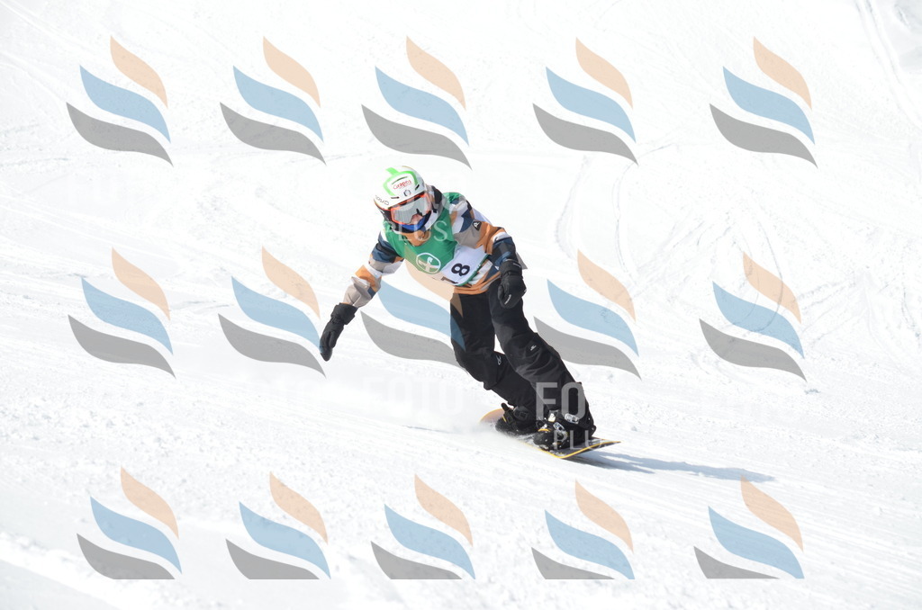 D9247 | holidayphoto