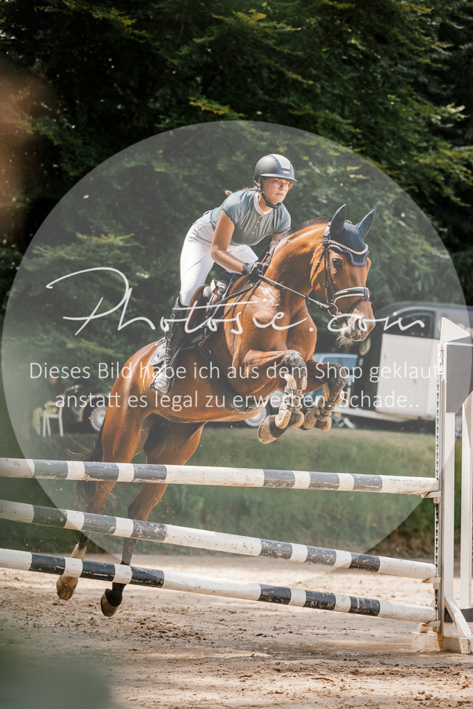 3I6A8020 | Stimmungsvolle Portraits und Reitsportfotografie im Ruhrgebiet und im Münsterland.

Pferdefotografie, Hundefotografie, Tierfotografie, Reportagen, Portraits von Tier und Mensch, Turnierfotografie in Bochum, Recklinghausen, Marl, Haltern am See, Dülmen.. - Realisiert mit Pictrs.com
