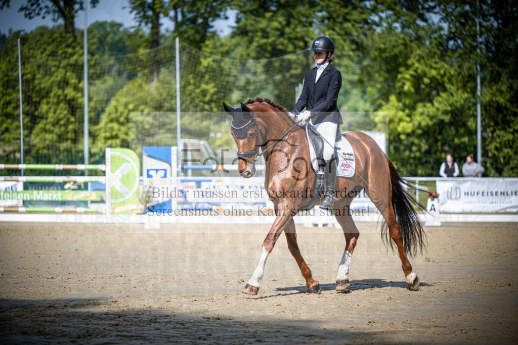 DOS_1786 | Reitturnier Venne - Realisiert mit Pictrs.com