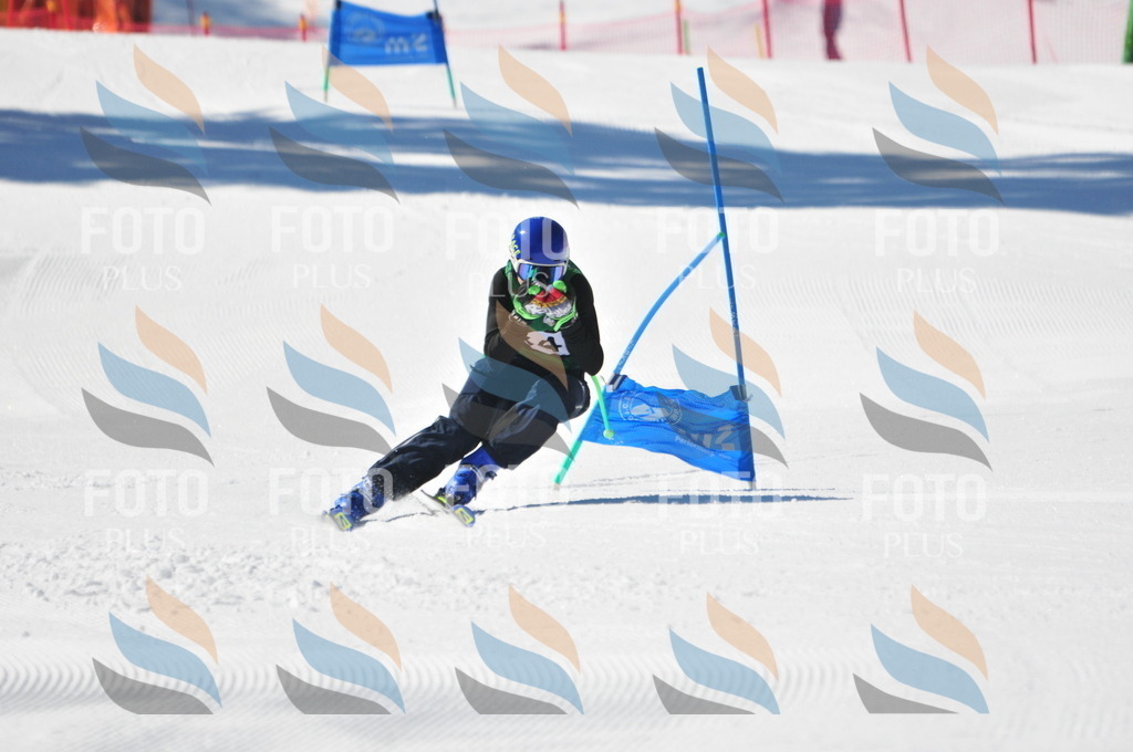 C3549 | holidayphoto