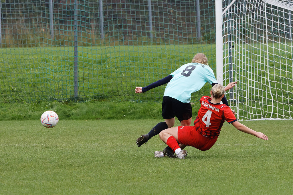 SVWFCH_250927_5423 | Fotopresso – Sportfotografie in Heidenheim & Umgebung. Professionelle Sportfotografie für unvergessliche Momente. Dynamische Action-Shots, emotionale Szenen & hochwertige Bilder. - Realisiert mit Pictrs.com