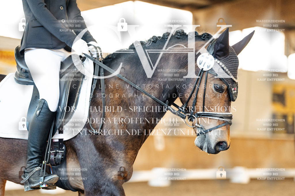 CK908026 | Turnierfotografie Pferdefotografie Trier Rheinland-Pfalz Pferdesport Reitsport Tierfotografie Sportfotografie Pferdevideo Pferdevideografie Equestrianvideography equestrianphotography  - Realisiert mit Pictrs.com