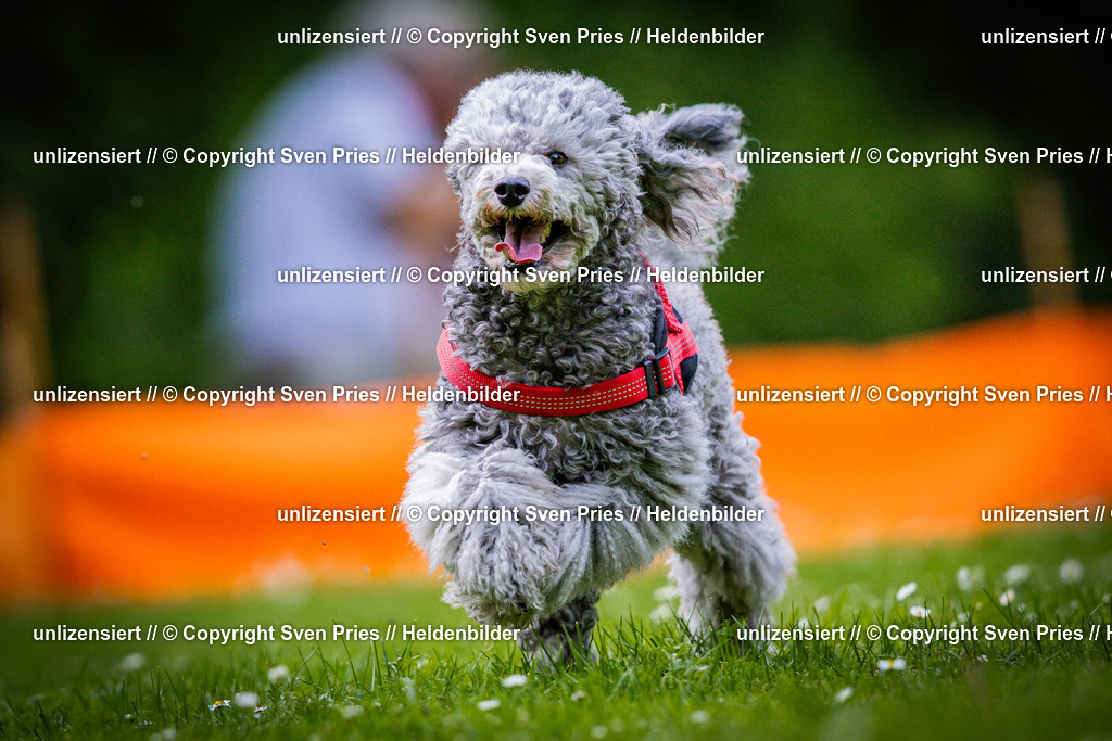 Sven Pries | 2025-05-29 - Pudelrennen KA-Durlach - Realisiert mit Pictrs.com