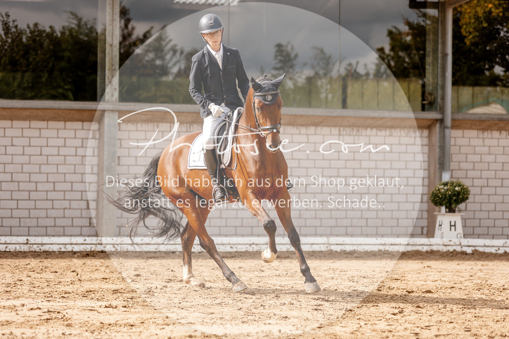 3I6A7219 | Stimmungsvolle Portraits und Reitsportfotografie im Ruhrgebiet und im Münsterland.

Pferdefotografie, Hundefotografie, Tierfotografie, Reportagen, Portraits von Tier und Mensch, Turnierfotografie in Bochum, Recklinghausen, Marl, Haltern am See, Dülmen.. - Realisiert mit Pictrs.com