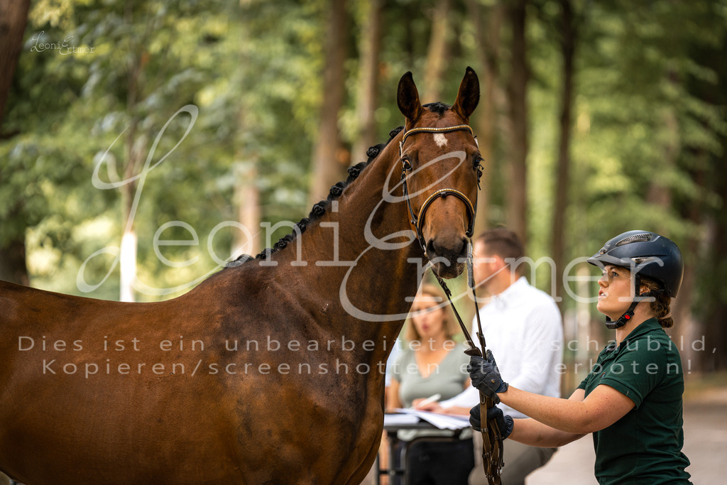 FrPfM00019 | Leoni Ertmer Photography - Realisiert mit Pictrs.com