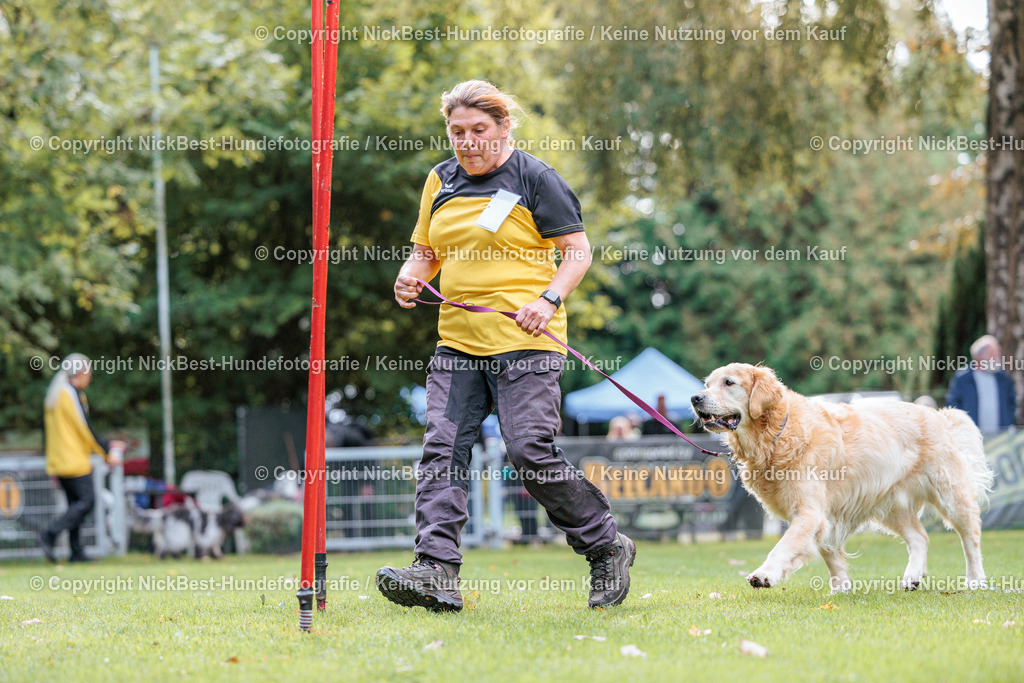 THS-HSV-Blumenthal-2026-Nickbest-Hundefotografie-2127 | Dein Hund! Dein Moment! Deine Erinnerungen! Hundefotografie in Bremen Blumenthal. Ich fange die besonderen Momente deines Vierbeiners ein – ob Indoor mit Blitzanlage oder in der freien Natur. Sicher dir dein Moment und dein Termin für eure Erinnerungen.