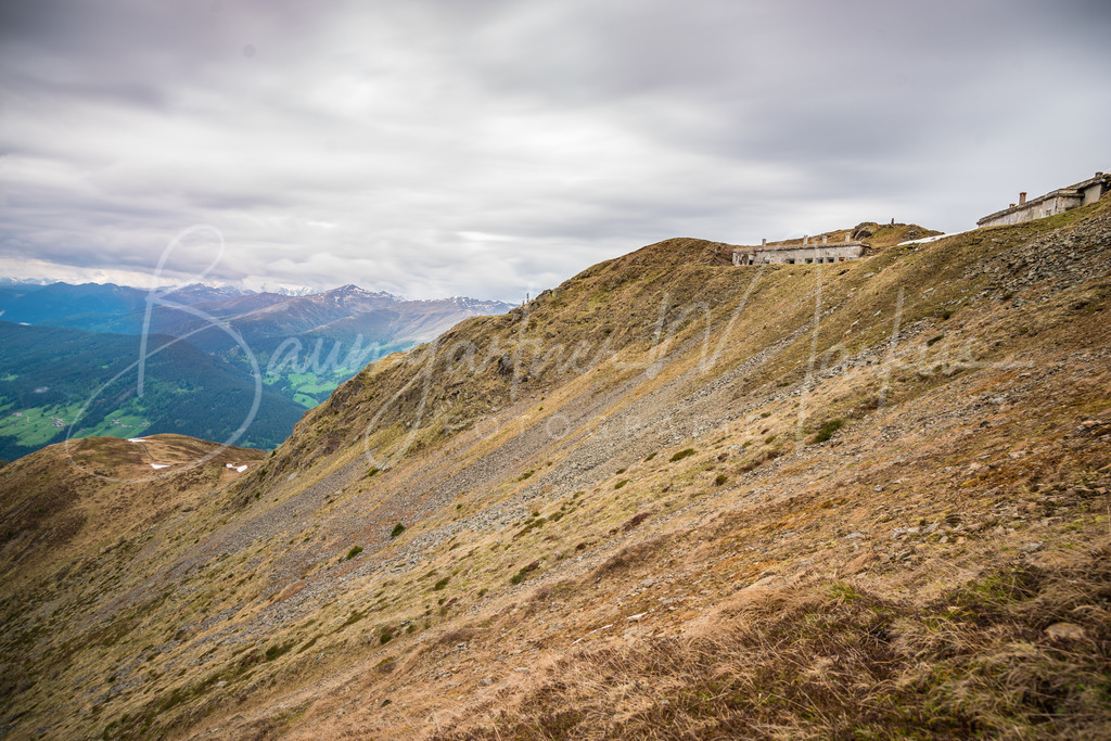_DSC5018 | Baumgartner Markus Fotografie