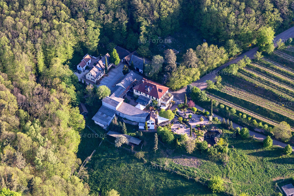 Luftbild: Gebäude und Gutshaus des Weingut Sankt Annaberg in Burrweiler im Bundesland Rheinland-Pfalz in Deutschland. Foto: IMG_120583.jpg vom 26.04.2020 durch Werner Riehm/FLY-FOTO.de