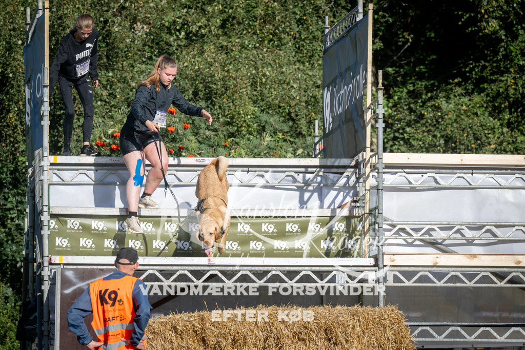 0858_ZZ95258 | kk-dogfotos