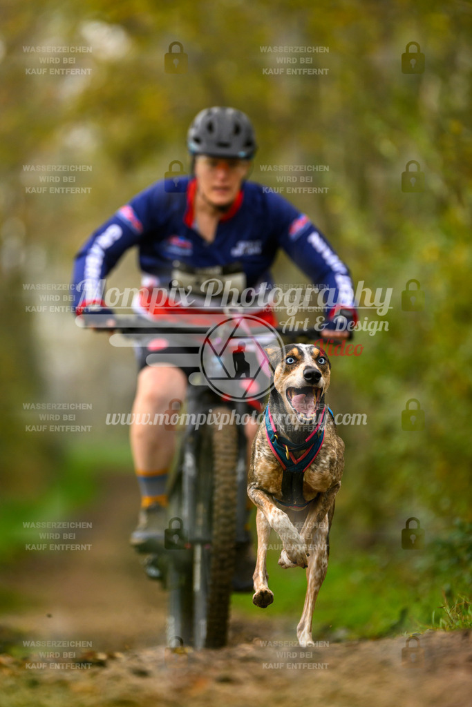 MompixPhotography_20TSB_E6_Bike-155 | PayLife