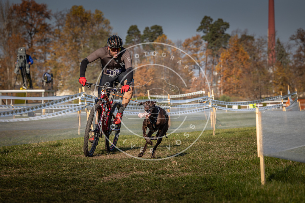 CaniXpix_0L8A6122 | Hundefotografie, Tierfotograf, Pfotenfotografie, Fotoshooting Hund, Hunde Portrait, Hundesport, Hundeportraits, Heideshooting, Hunde, Sportfotograf, Hundefotograf, Turnierhundsport, THS,  - Realisiert mit Pictrs.com