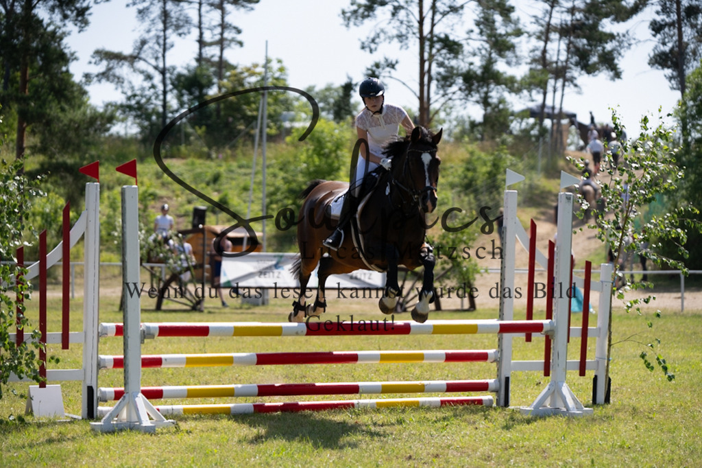 A7V05675 | Pferdefotograf