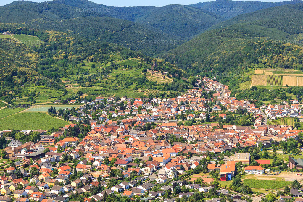 Luftbild: Wachtenburg (Ruine Burg Wachenheim) in Wachenheim an der Weinstraße im Bundesland Rheinland-Pfalz in Deutschland. Foto: IMG_30134.jpg vom 05.07.2010 durch Werner Riehm/FLY-FOTO.de
