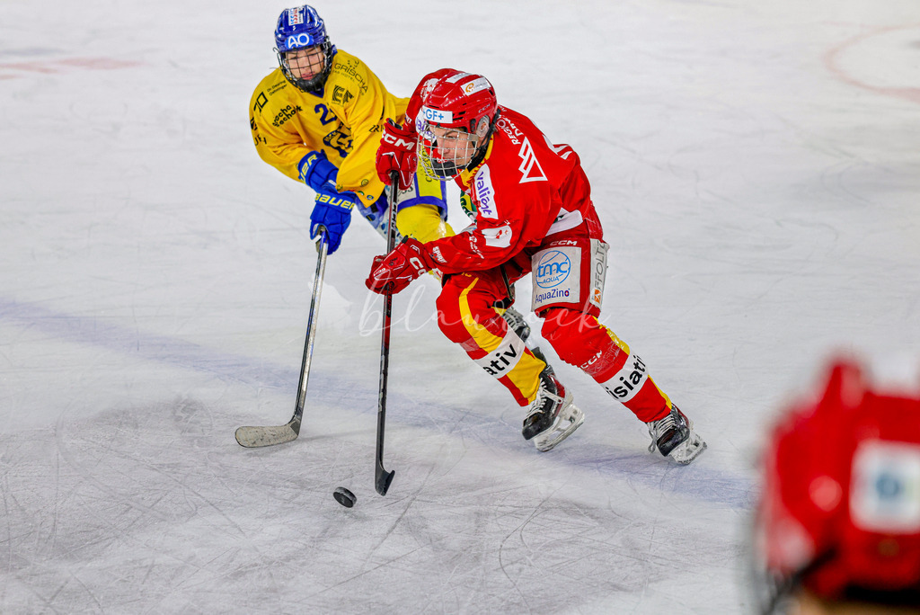 EHCB vs HCD-0939 | Sportbilder, Sportfotograf, Hochzeits- und Eventfotografin, Flugshows, Portraits und Tiershooting, Aviation, Downhill, Nationalleague, Swissleague, International