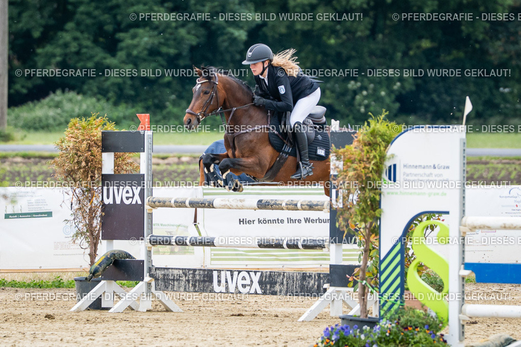 DSC05509 | Pferdegrafie