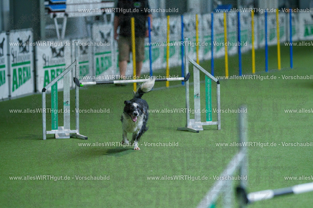 @allesWIRTHgut_Tierfotografie - www.allesWIRTHgut.de - 2604261524-7R505477 | Professionelle Tierfotografie in Mönchengladbach von Daniel Wirth (allesWIRTHgut). Liebevolle & natürliche Bilder von Hunden & Katzen für unvergessliche Erinnerungen.