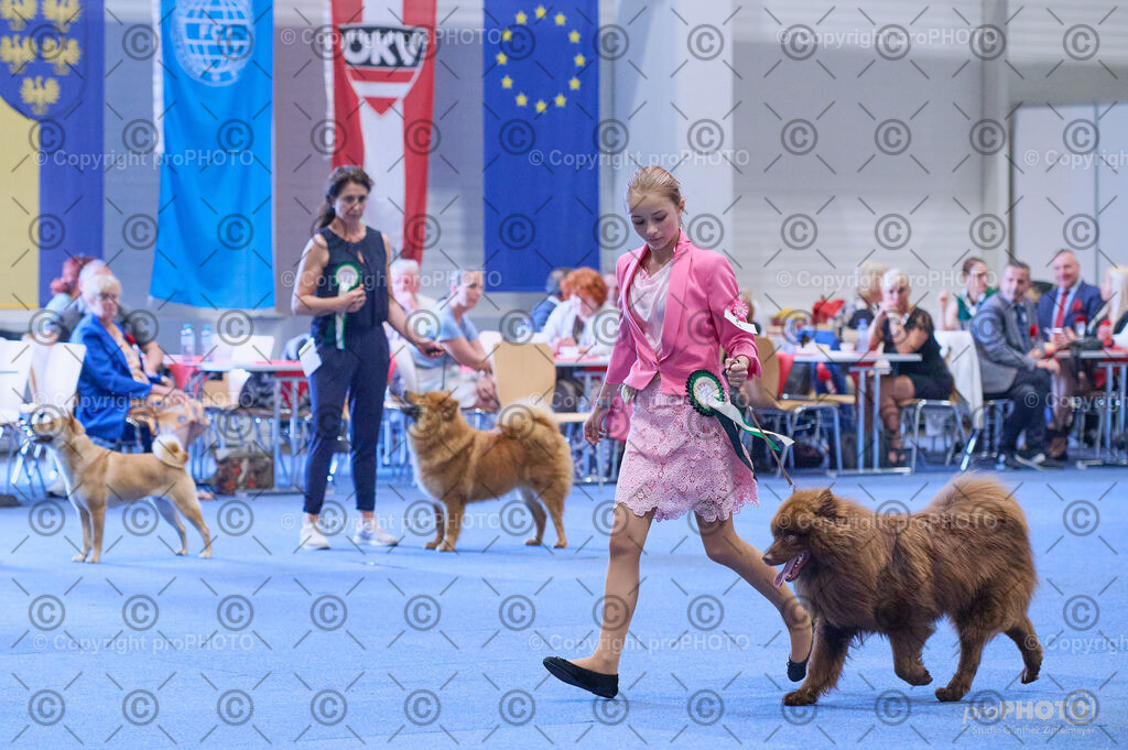 202406_ÖKV-IHA-Tulln24_DSC_3943 | proPHOTO - Realisiert mit Pictrs.com