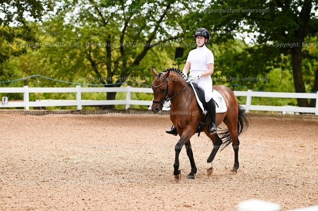 20230715_05_Dressurprüfung Kl.A++_0049 | equistock