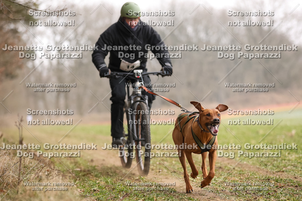 Dog Paparazzi - Plate 2026-52 | Dog Paparazzi Jeanette Grottendiek Fotografie & Videografie - Realisiert mit Pictrs.com