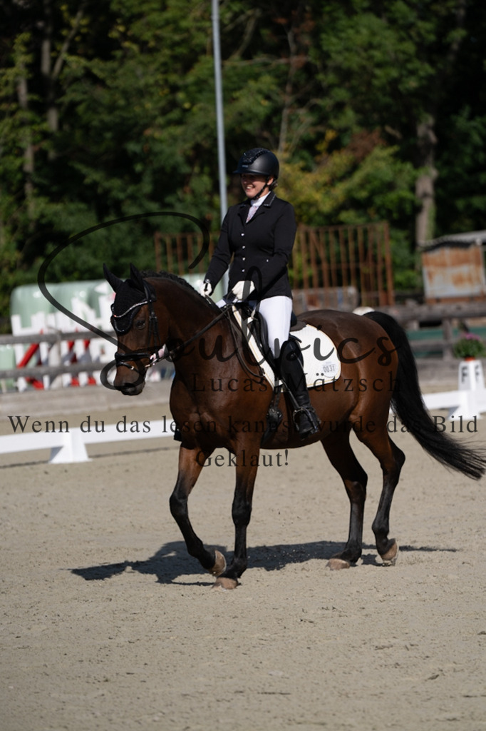 A7V06922 | Pferdefotograf