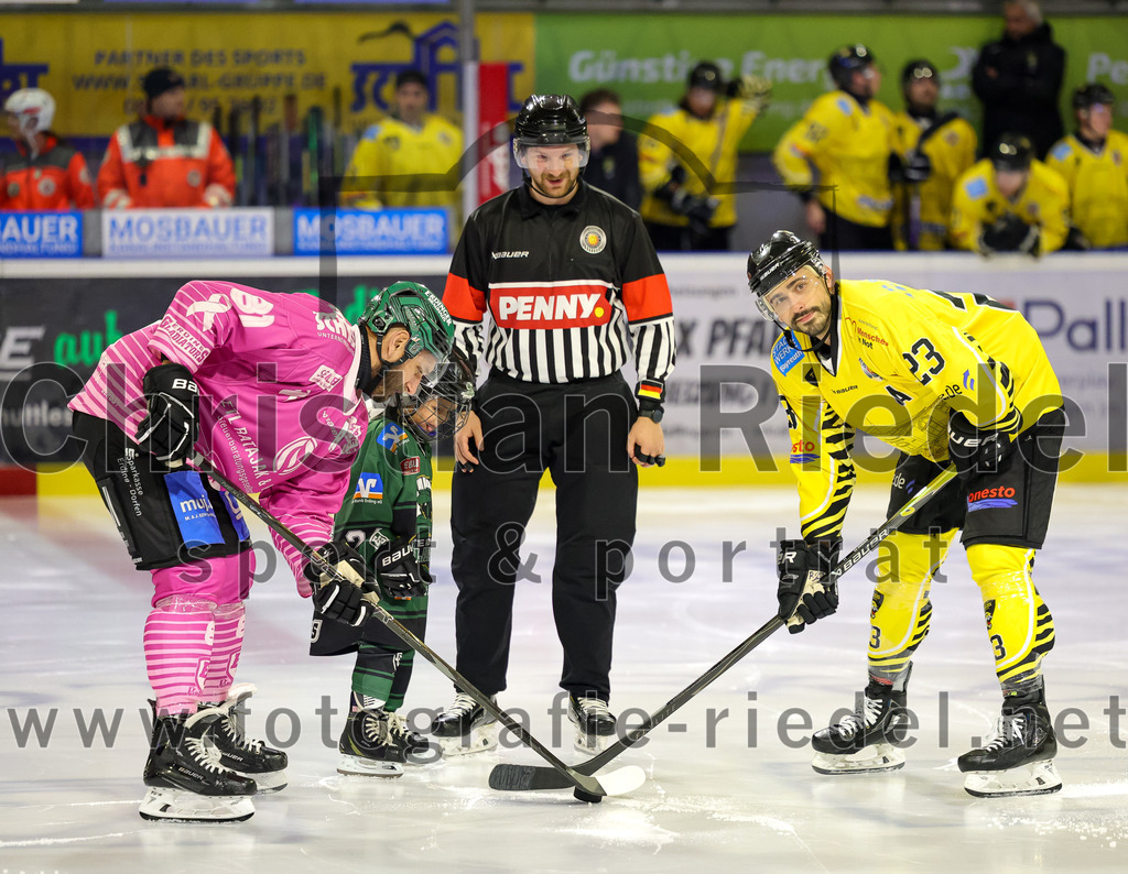 2025-10-10_033_TSV_Erding_gegen_onesto_Tigers_Bayreuth | Erding, Deutschland, 10.10.2025:Eishockey, Oberliga Süd 2025 / 2026, 7. Spieltag, TSV Erding gegen onesto Tigers Bayreuth, Endergebnis: 2:5Maximilian Forster (Erding Gladiators, #81), Aiden Brown (onesto Tigers Bayreuth, #23)Foto: Christian Riedel / fotografie-riedel.net
