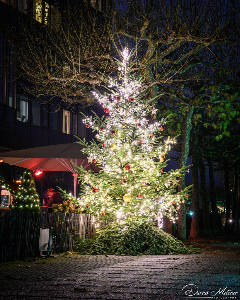 Weihnachten in Mainz | Weihnachten in Mainz