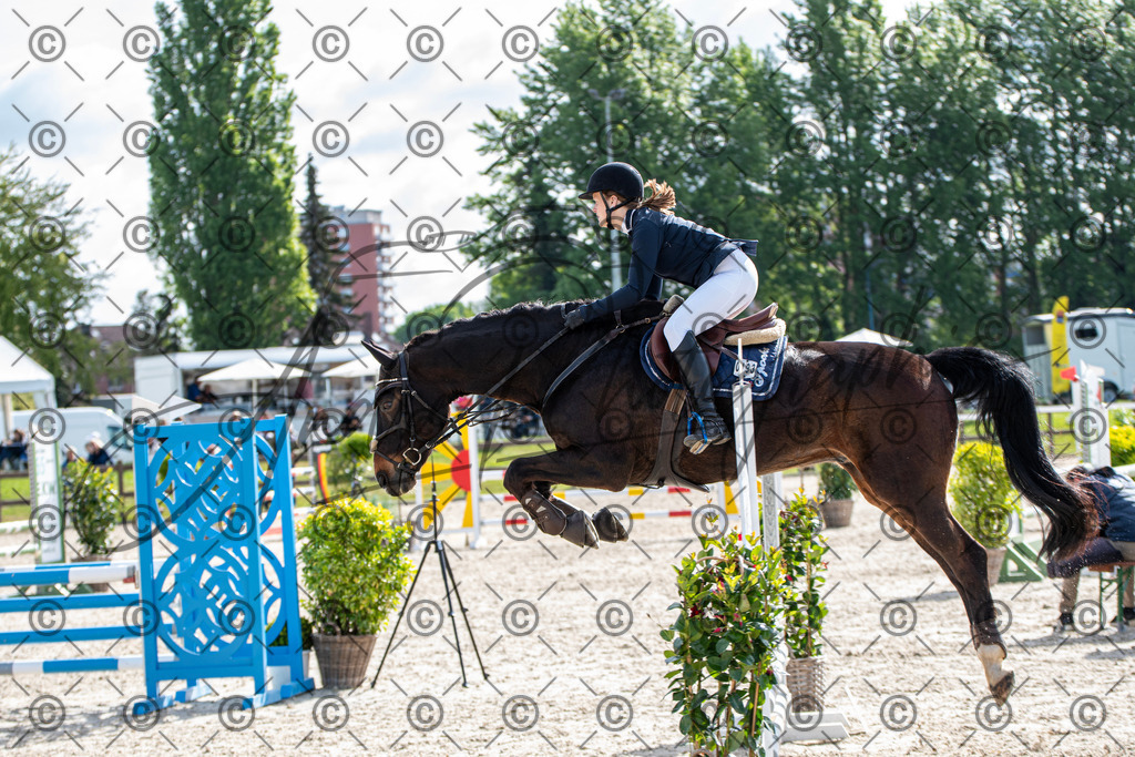 KPT_4705 | andre_photographic