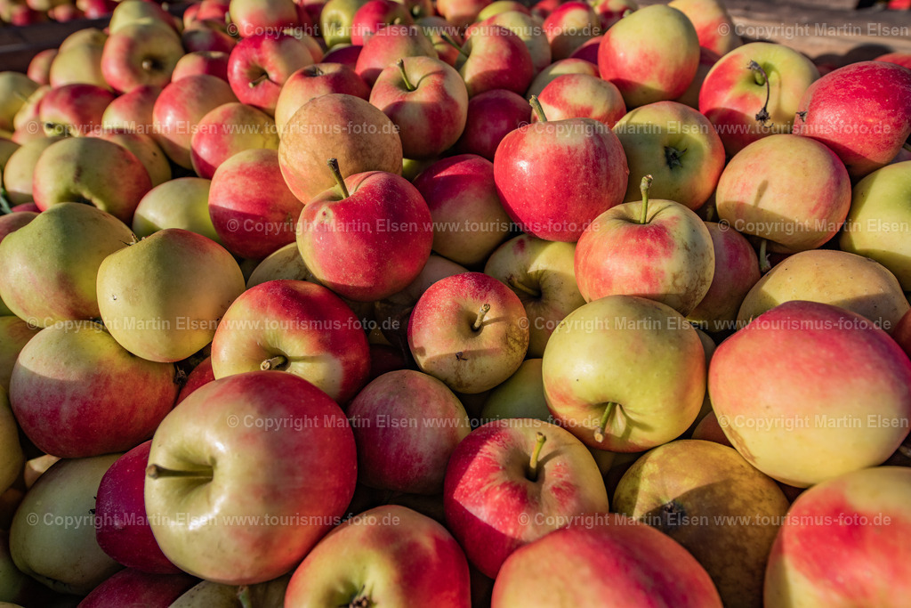 Altes Land Tourismus_ELS_3408061022 | Fotos aus den Touristenorten aus Norddeutschland. - Realisiert mit Pictrs.com