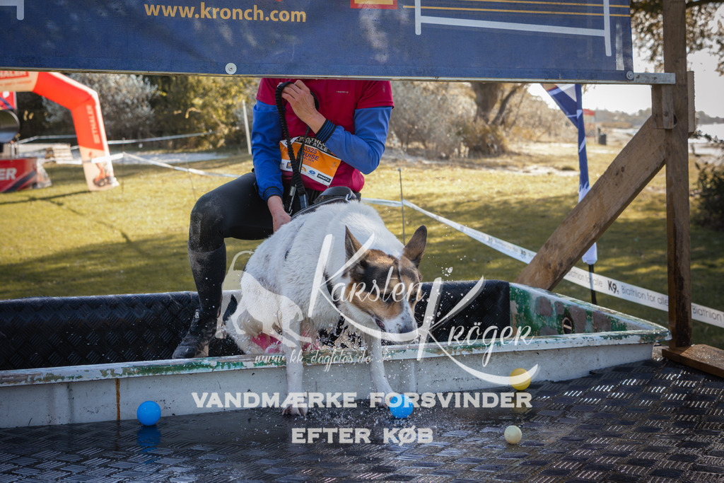 1227_ZZ96426-2 | kk-dogfotos