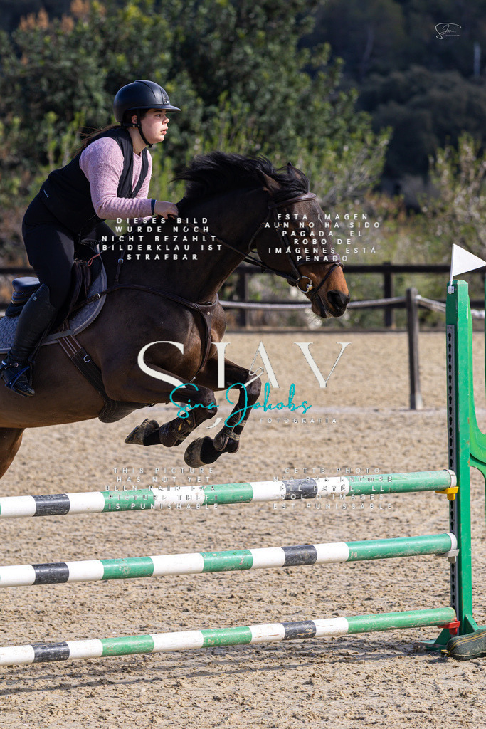 IMG_5206 | s-jay-photography - Realisiert mit Pictrs.com