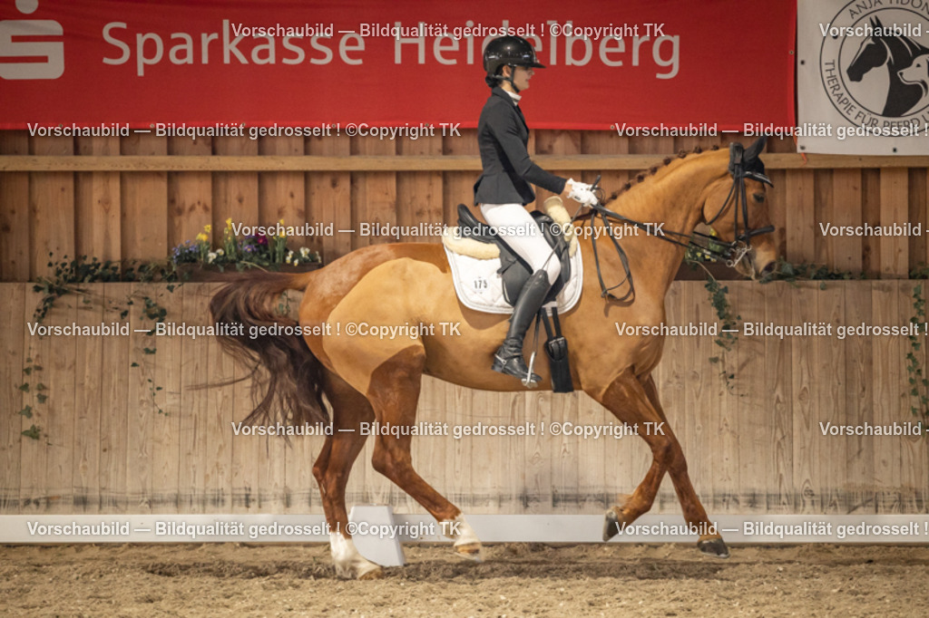 _D5A9593 | Emotionale Pferde- & People-Fotografie rund um Heidelberg, Leimen & Umgebung. Natürliche Fotos von Pferd, Mensch & Familie. Jetzt Termin sichern!