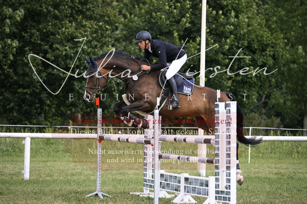 DSC_0850 | Pferde- und Turnierfotografie in Westsachsen. Pferdeportraits, Auftragszeichnungen und intuitive Kunst.