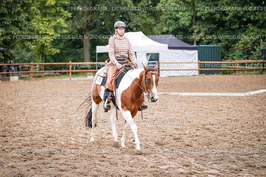 DSC02788 | Pferdegrafie