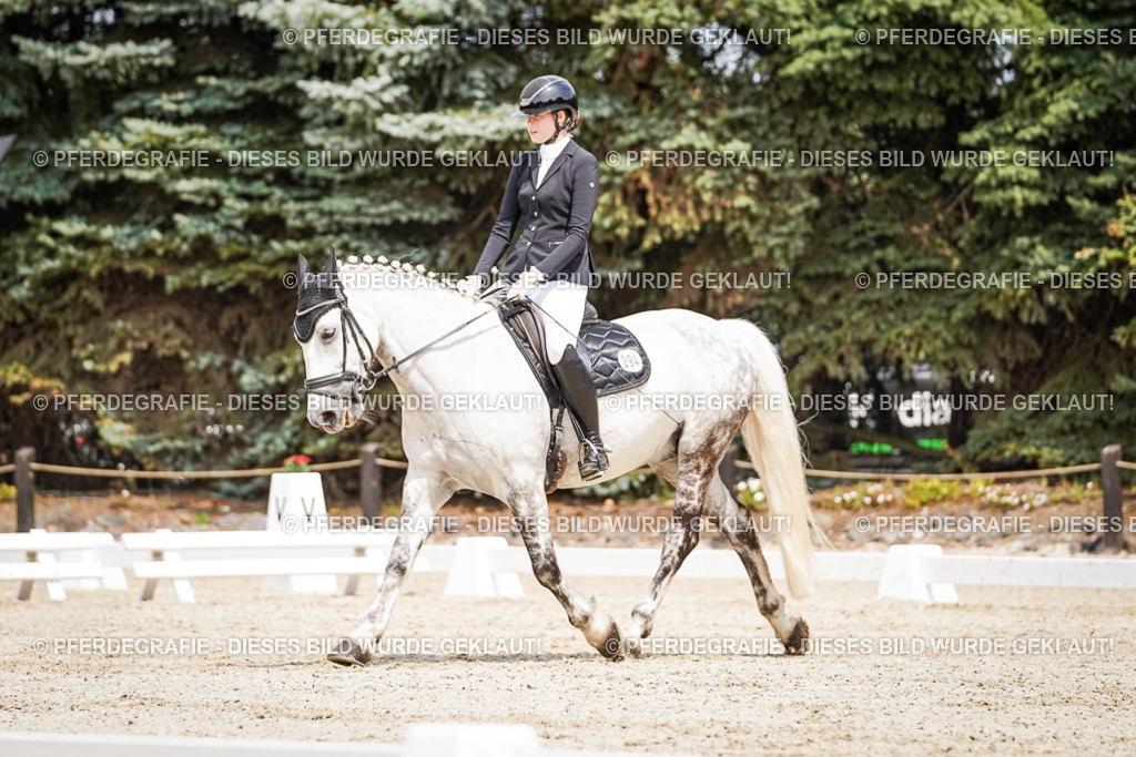 DSC03474 | Pferdegrafie