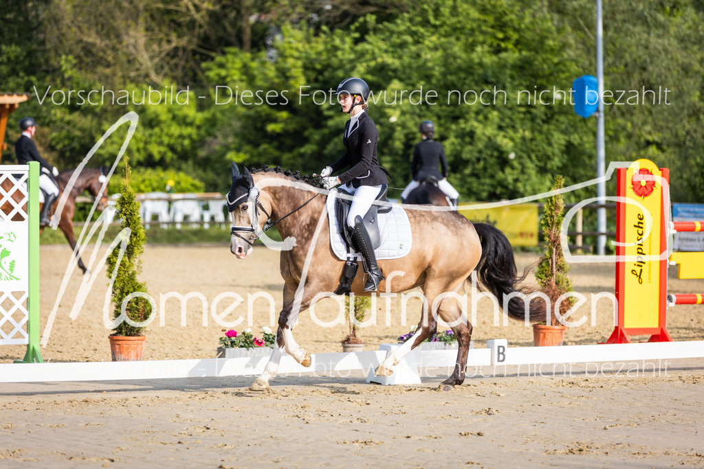 Donop24-A-Dre-019 | MomenTaufnahmen Pferdesportfotos