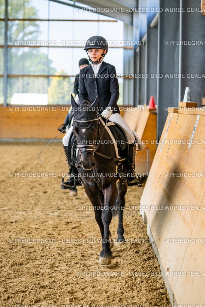 DSC02766 | Pferdegrafie