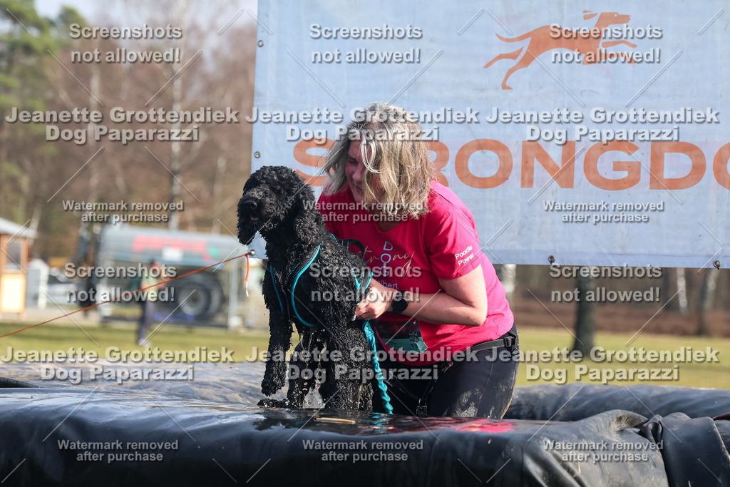 Dog Paparazzi - Strongdog North Mrz26-1755 | Dog Paparazzi Jeanette Grottendiek Fotografie & Videografie - Realisiert mit Pictrs.com