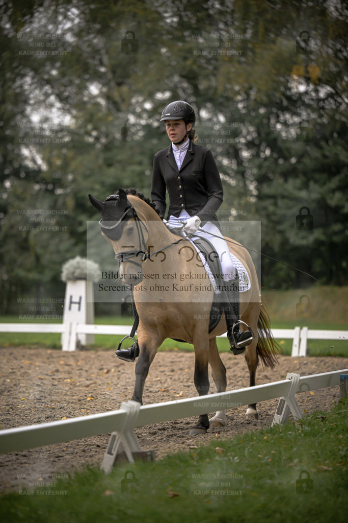 FOTO OGER | Entdecke hochwertige Reitturnierfotos von Foto Oger. Professionell, emotional und authentisch – jetzt Lieblingsmomente im Shop bestellen. - Realisiert mit Pictrs.com