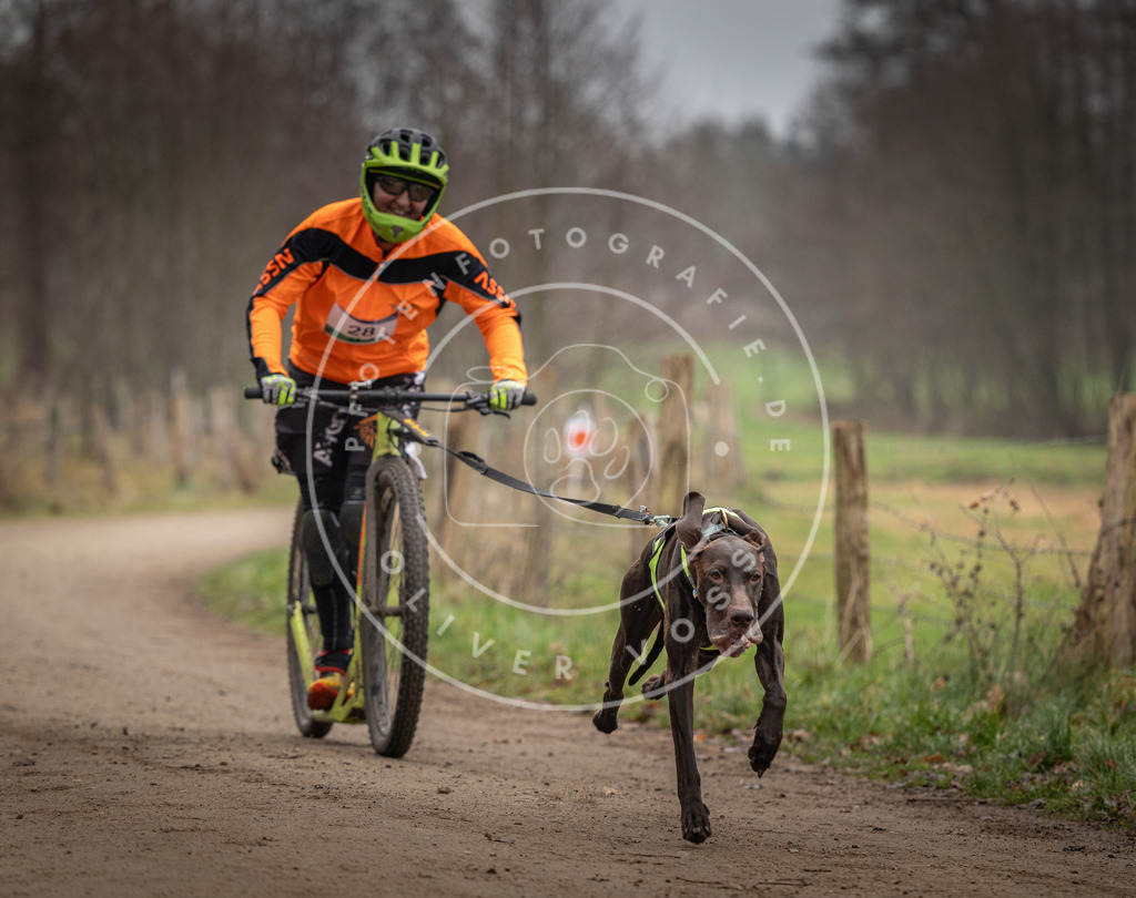 Pfotenfotografie_DV3A2199 | Hundefotografie, Tierfotograf, Pfotenfotografie, Fotoshooting Hund, Hunde Portrait, Hundesport, Hundeportraits, Heideshooting, Hunde, Sportfotograf, Hundefotograf, Turnierhundsport, THS,  - Realisiert mit Pictrs.com