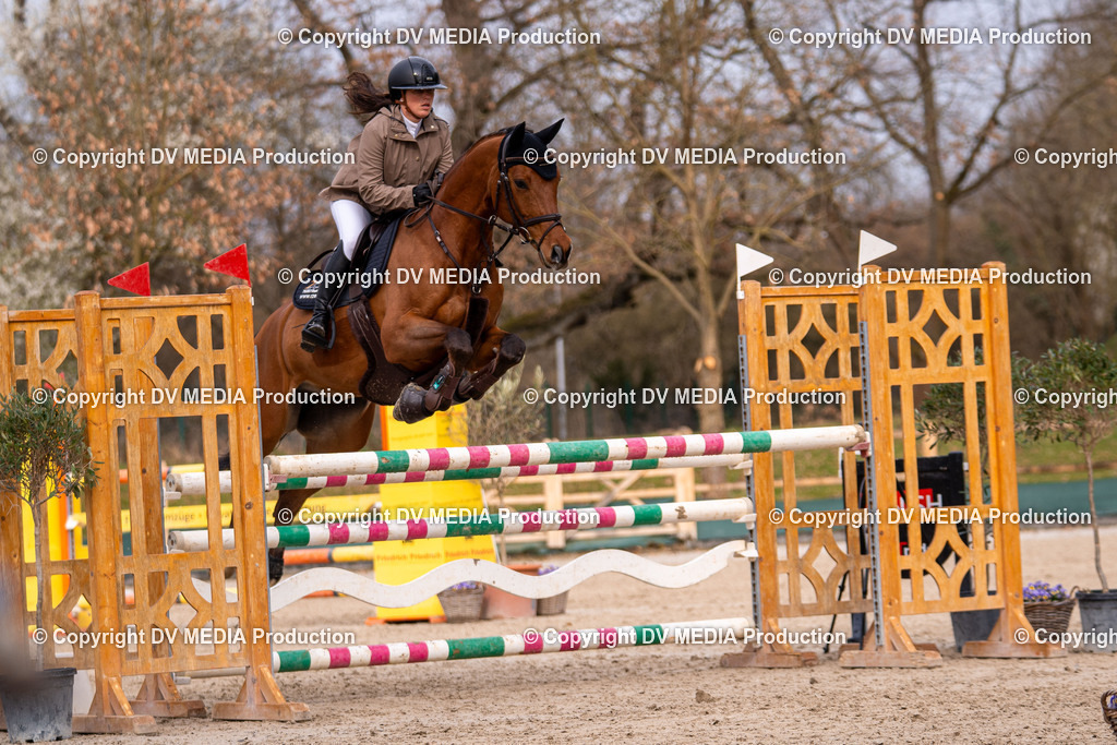 Kranichstein Tag 2-1644 | dv-media-shop - Realisiert mit Pictrs.com